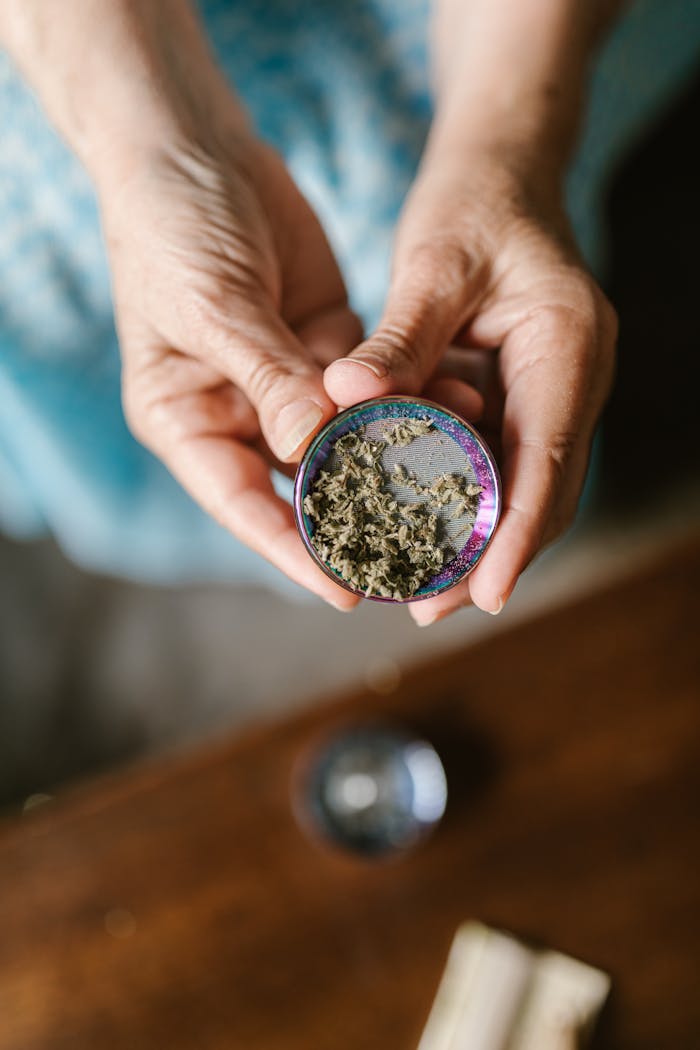 Close-up of hands holding a cannabis grinder filled with marijuana. Ideal for cannabis culture visuals.